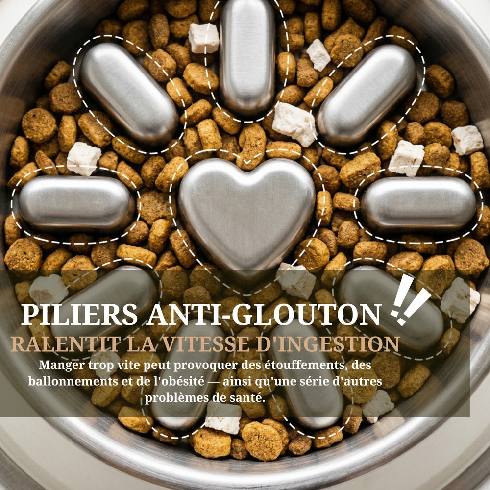 SlowSteel Pro — Bol Anti-Glouton Acier Inoxydable